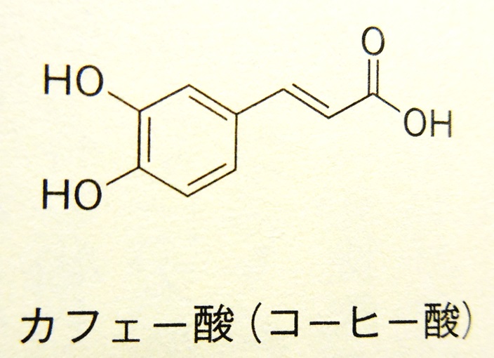 【読書記録】コーヒーの科学「おいしさ」はどこで生まれるのか つるかめライブラリー